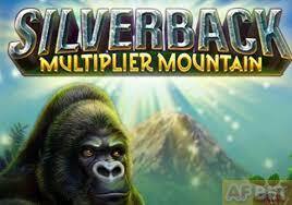 SILVERBACK MULTIPLIER MOUNTAIN