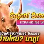 รีวิวสล็อต Safari Serenade – สล็อตท่องซาฟารีจาก Inbet Games แตกง่ายไหม? มาดู!