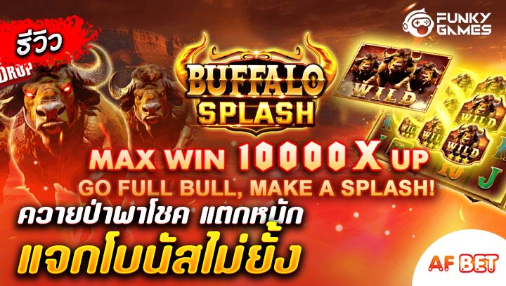 สล็อต-Buffalo-Splash